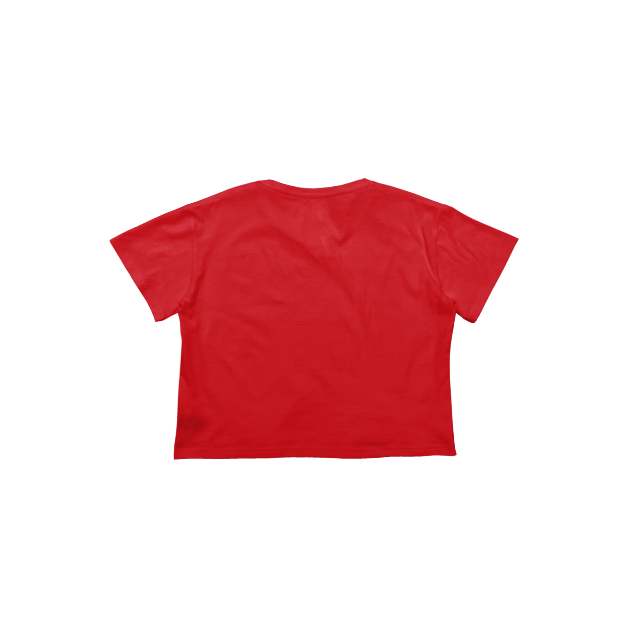 Ladies Premium Cotton Crop Tee - Image 19